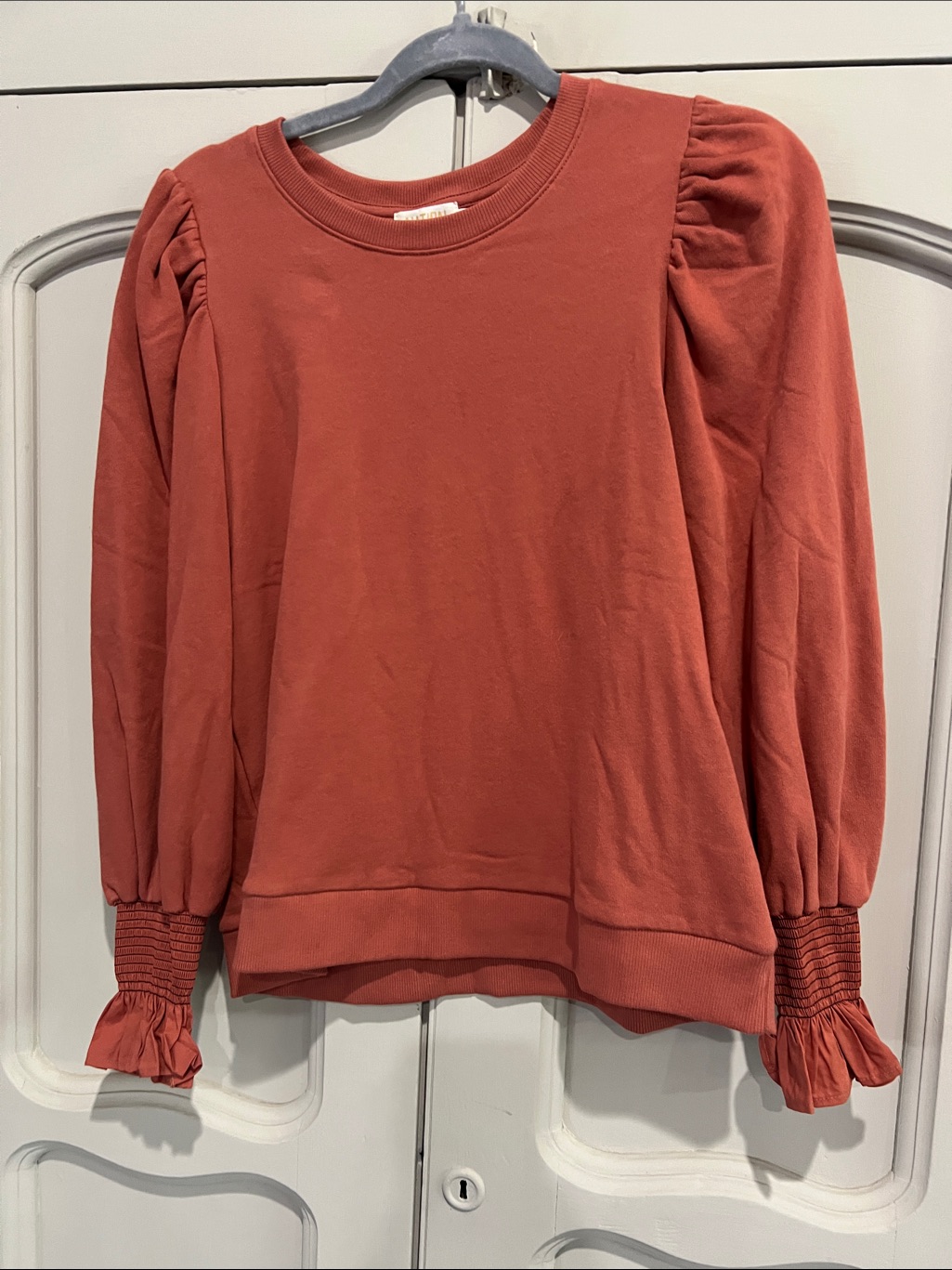 Nation Ltd Cecile Puff-Sleeve Sweatshirt In Rust